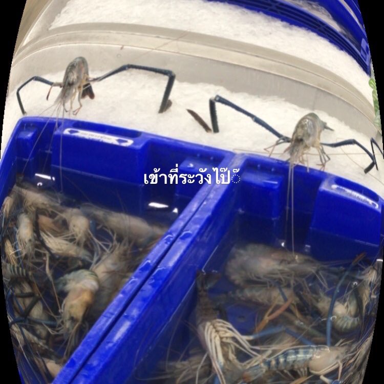 ลงสตอรี่ธรรมดา             ลงclose friends