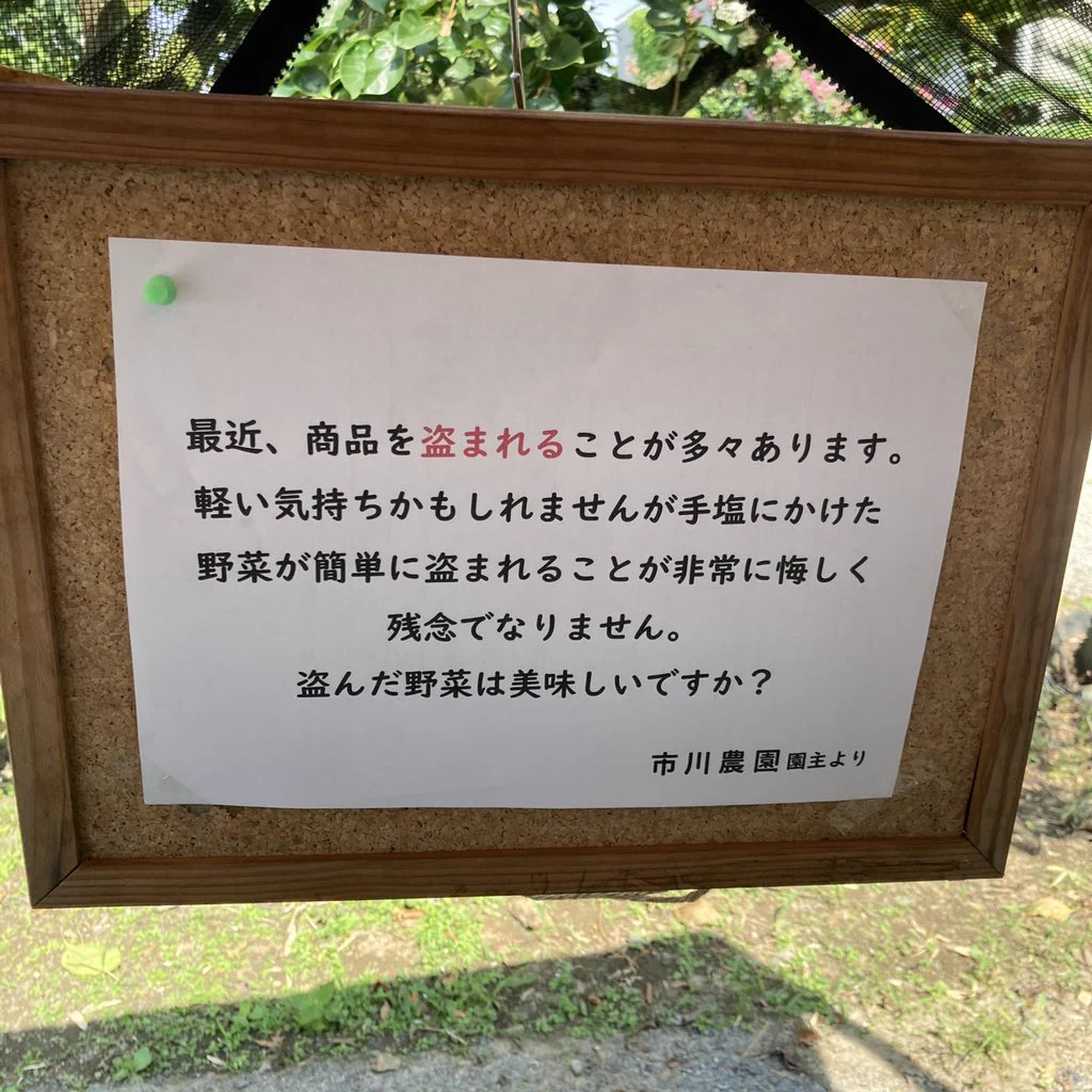 これを掲げたら犯人の癇に障って逆効果に…過去一番野菜を盗まれてしまった！