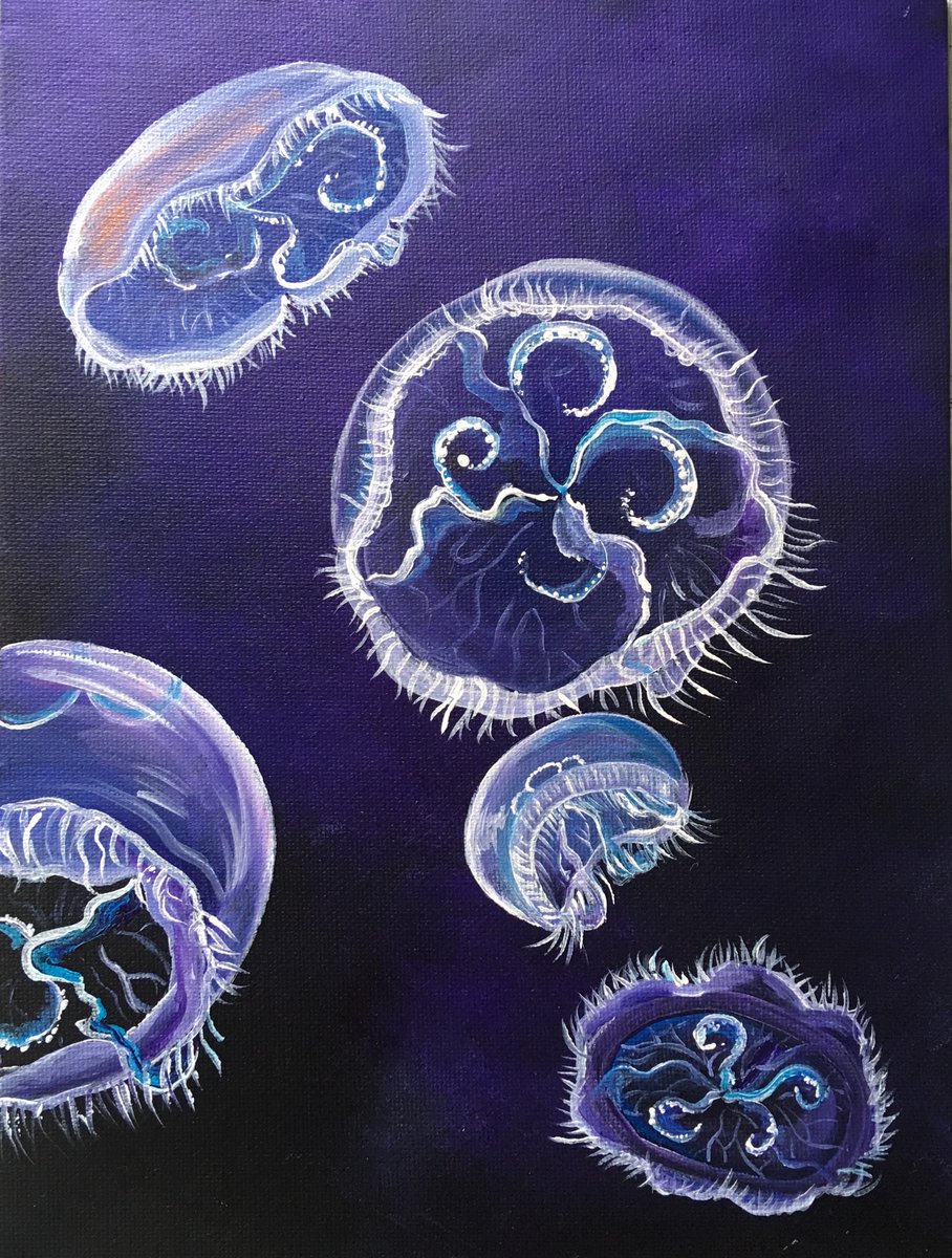 Couldn’t help getting excited about jellyfish  after listening to two amazing episodes by @RebeccaRHelm and @GelatinousSting on @Ologies!! These artworks are not new, but I am now inspired to make more!  #DailyJelly #artforscience