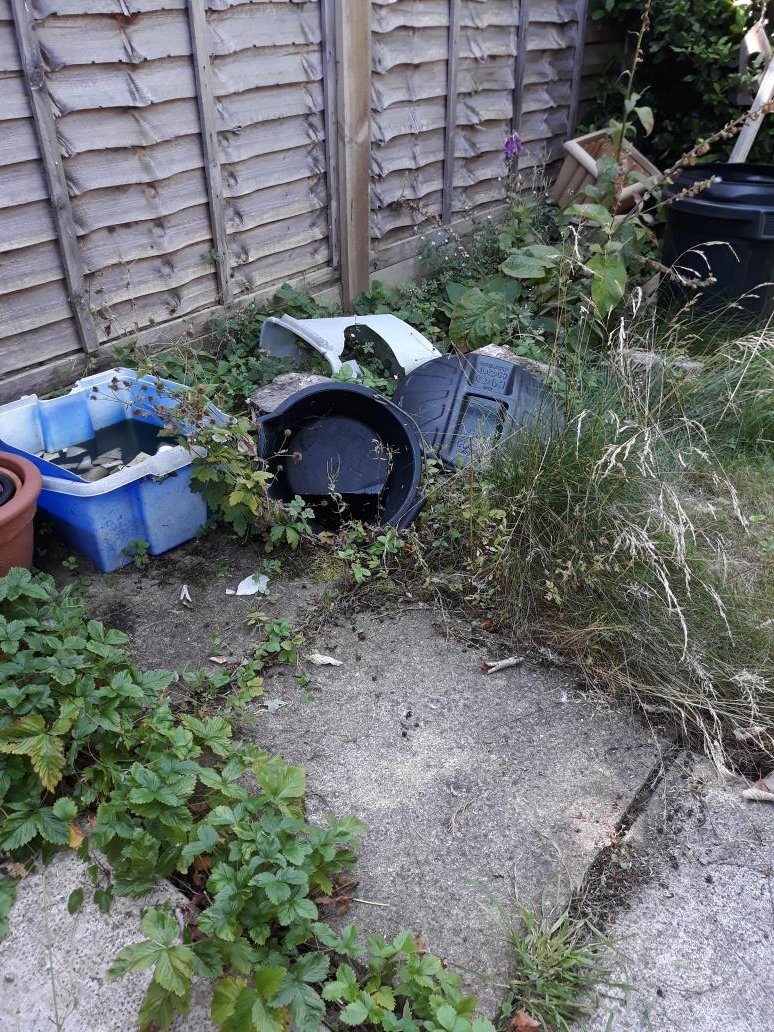 SharonJolly14's tweet photo. Started tidying up this shady back corner in my garden, then spotted the frog(?) taking advantage of the cool water in the bucket! I wasn't going to clear it completely, anyway. Better get on with digging the pond instead! @HMWTBadger #gardenwildlife #hmwt https://t.co/NqBoQ1gXcq