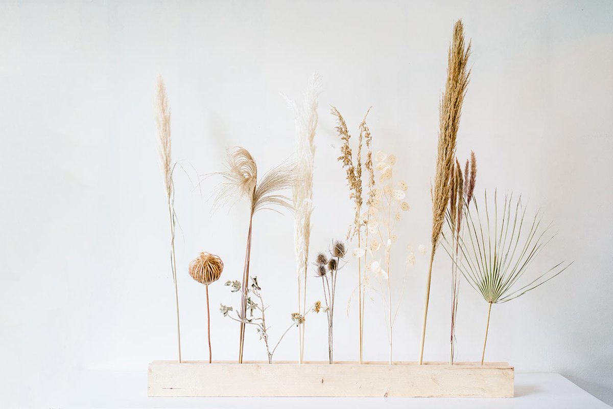 Vandaag onze exposant HBX natural living uitgelicht! Benieuwd welke trends zij zien voor 2021 en wat je kan verwachten in hun stand tijdens Trendz? Lees hier snel verder: trendzvakbeurzen.nl/2020/08/03/hbx…