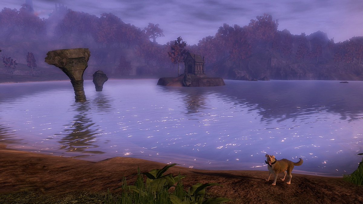 AFarCryAssassin's tweet photo. Its Bowerstone lake time! Such a beautiful region! Also a good pupper! #Albion #Fable2 #Fable
@Xbox @XboxGamePass https://t.co/BxJF5xNWSY