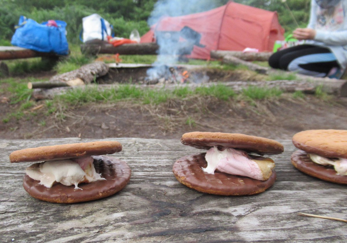 jofwx's tweet photo. Just back from one night's camping, weather was fine. Good for the soul to be away in the woods. Missing Guide camp this year, two cancelled. Midges were about though. @PyramidProducts #Smores #GuideCamp https://t.co/65dKuoglZ3