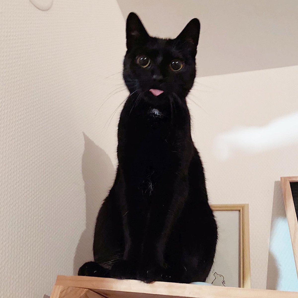 mxgooo's tweet image. 🖤