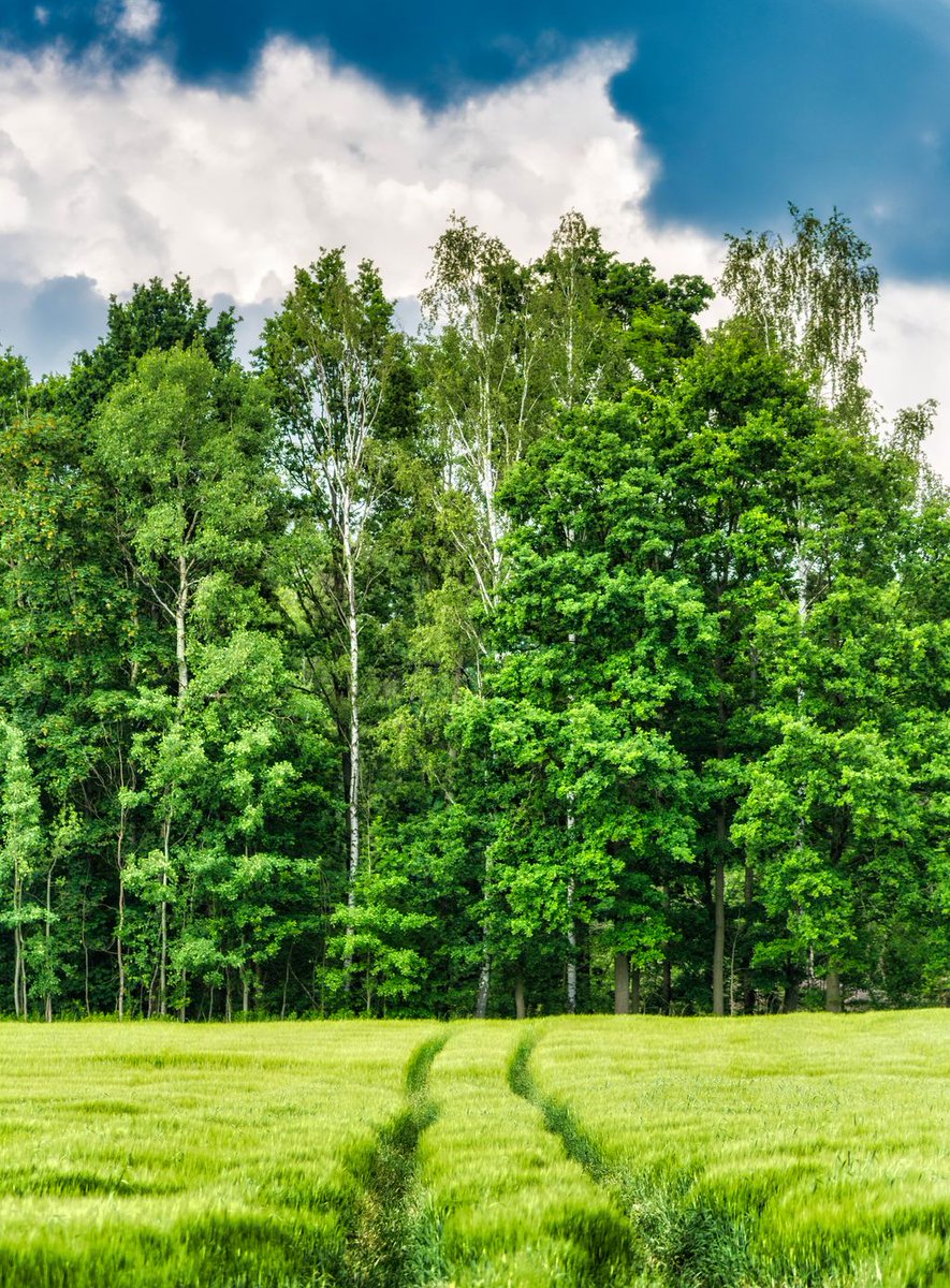 Fresh Friday: Your freshly edited photo early every Friday.
#Luban #Poland #GreenHills #Trail #Path #Farmland #TallGrass #GrassyField #Green #FreshFriday https://t.co/RTGXbQwtuv