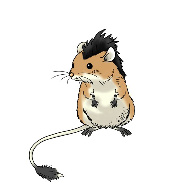 トーポのtwitterイラスト検索結果