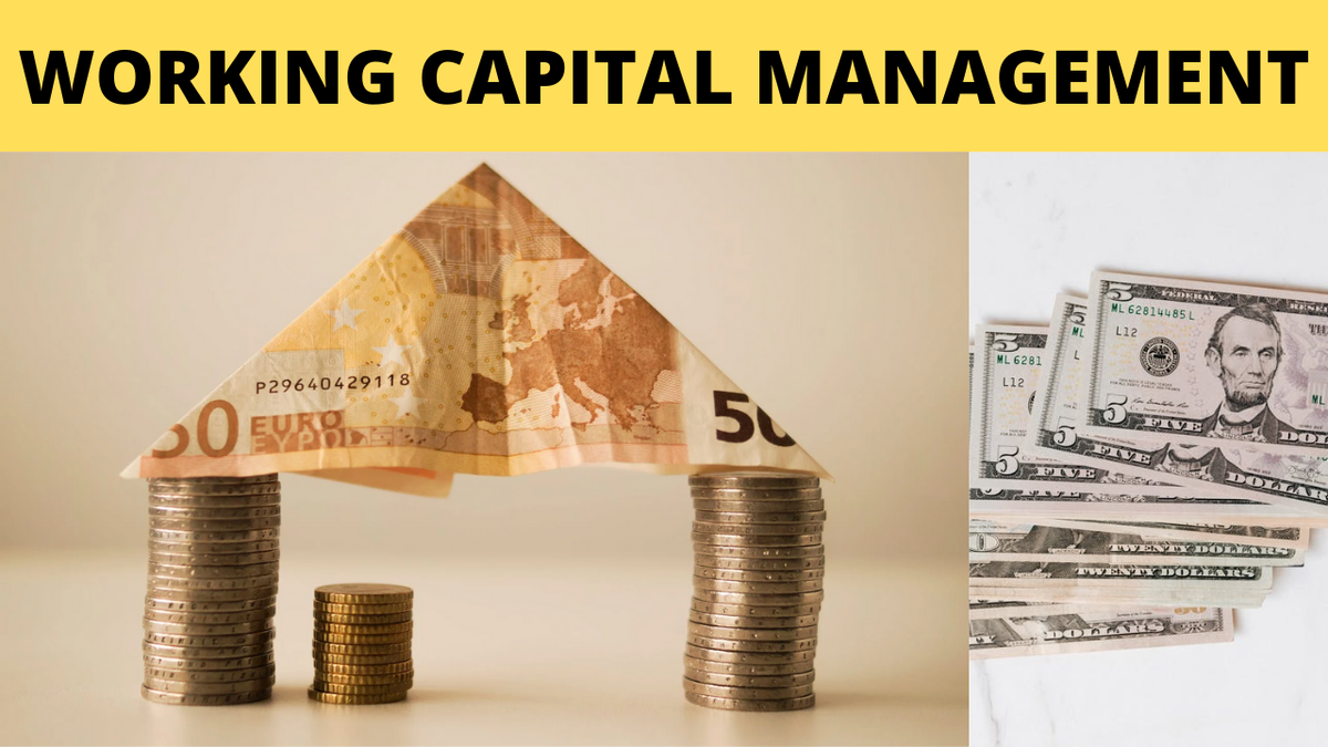 Digitallearneng's tweet photo. Working Capital Management | Introduction to Working Capital Management ... https://t.co/zNpkNcXBQf via @YouTube https://t.co/Cc4CcIWEfb
