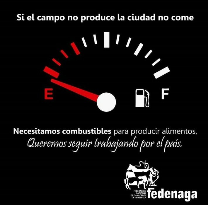Fedenaga's tweet photo. #Venezuela: Para que la #Carne, la #Leche, el #Queso y mucho más, pueda llegar a tu mesa, los productores agropecuarios necesitan contar oportunamente con herramientas y condiciones para hacerlo posible. Sin alimentos no hay salud.
¡El #Campo necesita combustibles para trabajar! https://t.co/DrL3Lm072N