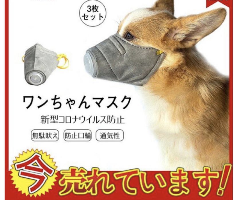 今村 真也 犬の専門家 V Twitter 犬用マスクが危険な訳 犬はパンティングと呼ばれる口呼吸で 体温の調節をします マスクをつけると口呼吸が出来なくなり大変危険です 夏は熱中症に要注意 油断大敵 ワンちゃんは暑さに弱い T Co Caffxygg7t 熱中症