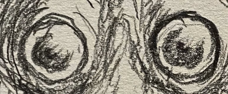 #目だけでフォロワーさんを惚れさせる見た人強制 