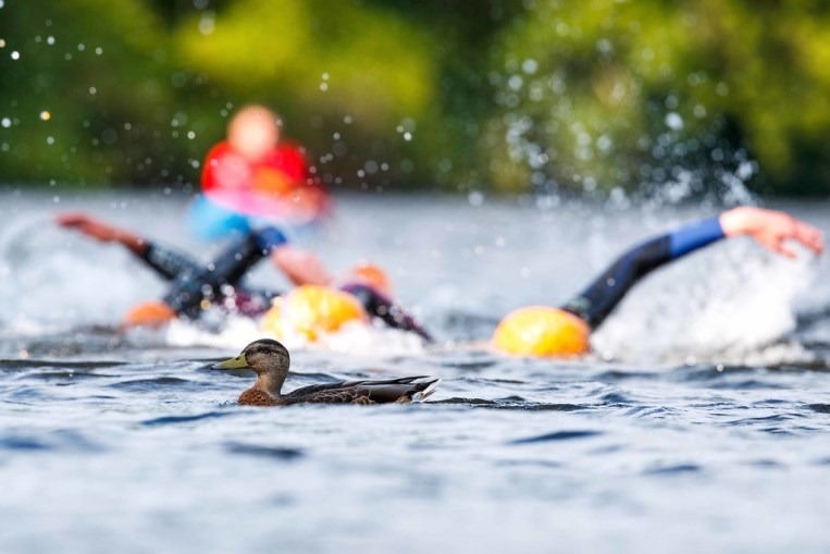 Two new 2020 National Champs have been confirmed and are now open for entries!

🏊‍♂️🏃‍♀️ The Lake at Kilrea Aquathlon will host the Aquathlon Champs on Sept. 6th 

🏃‍♀️🚴‍♀️🏃‍♀️ The Duathlon Champs will be run by <a href="/naastriclub/">Naas Triathlon Club</a> on Oct. 11th.

More info and entries: triathlonireland.com/News/2020/Kilr…