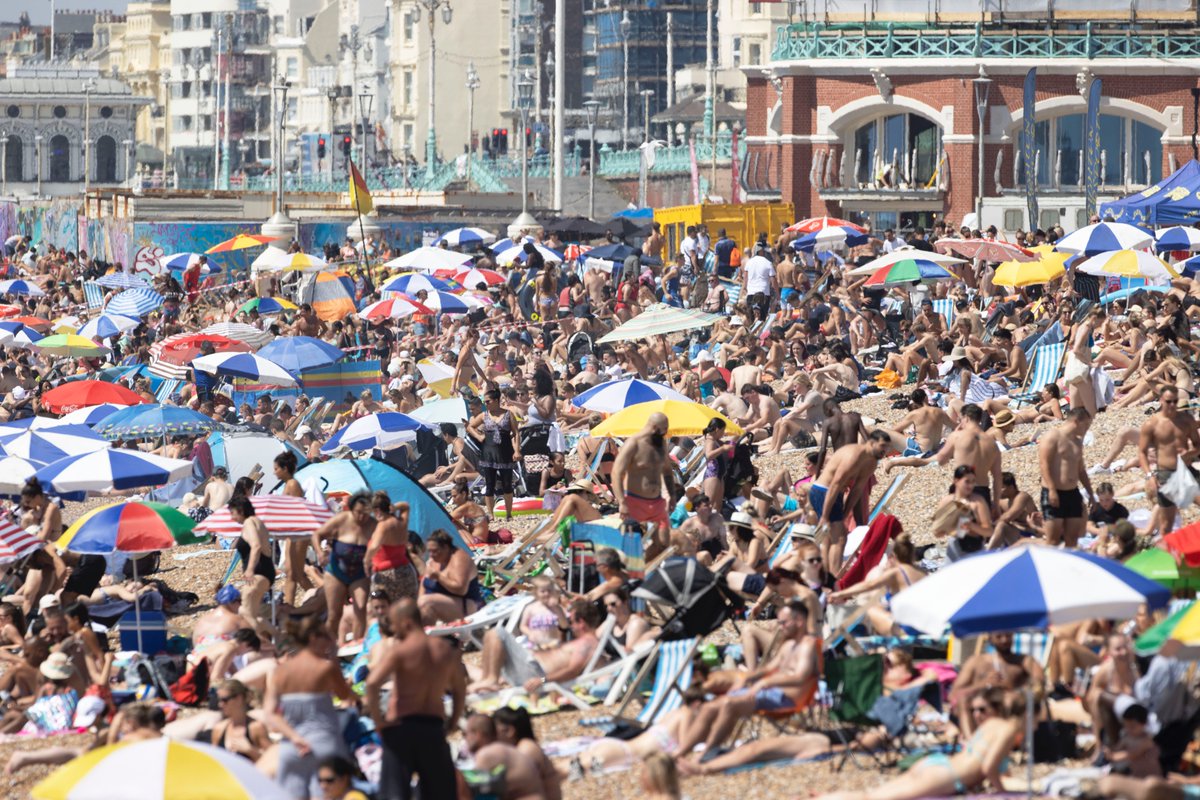 eddie mitchell tweet media