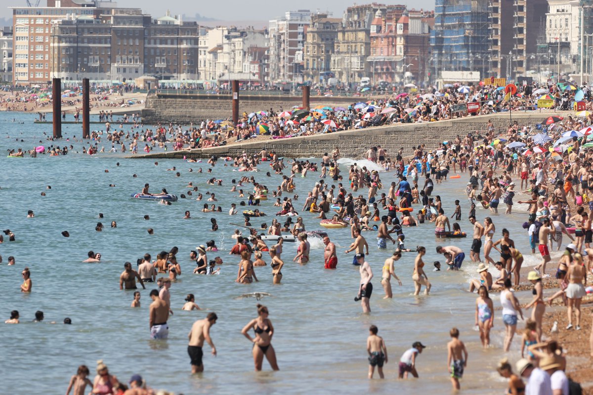 eddie mitchell tweet media