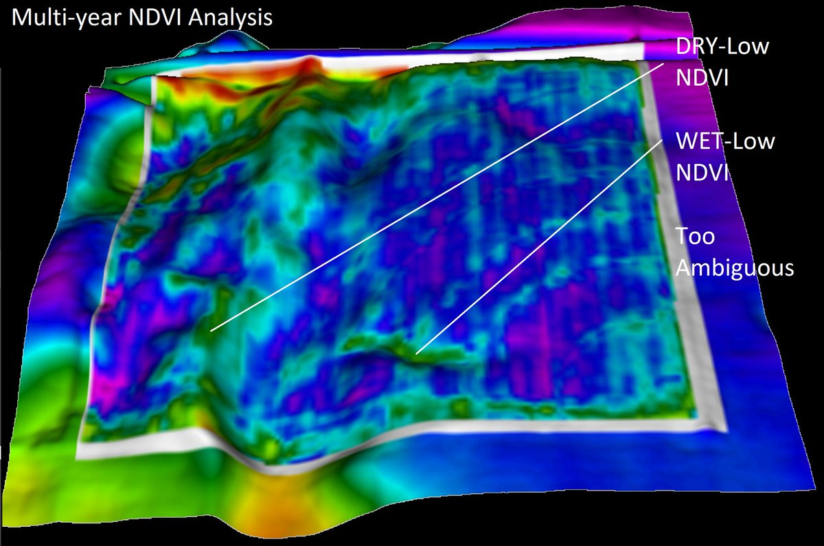michaeldunnCCA's tweet photo. Multi-year analysis of #NDVI actually had a respectable correlation to gravimetric moisture (0.55) at 1/4 acre grids, but the 3D overlay illustrates why we still prefer zones based on high resolution #Soil data to reduce ambiguity.
#BeyondNDVI #PrecisionAg #Imagery https://t.co/o8pGarCKlK