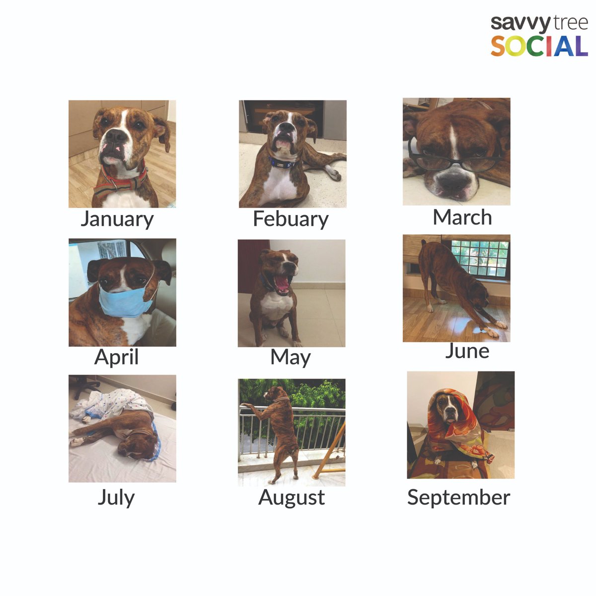 SavvytreeSocial's tweet image. 2020 mood so far featuring our boy #Veer

#MonthGrid #TrendingNow #MoodOfTheTheYear #Trending  #PostFormat #SavvyTree #SavvyTreeSocial