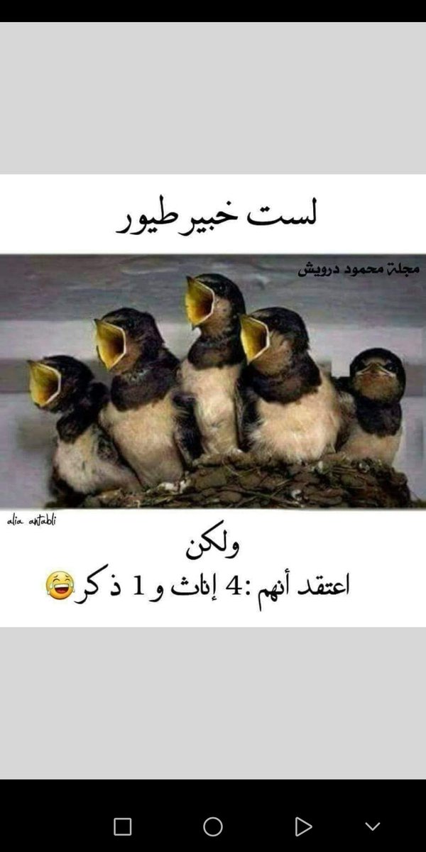 Ashraf Gomha (@ashrafgomha) on Twitter photo 
