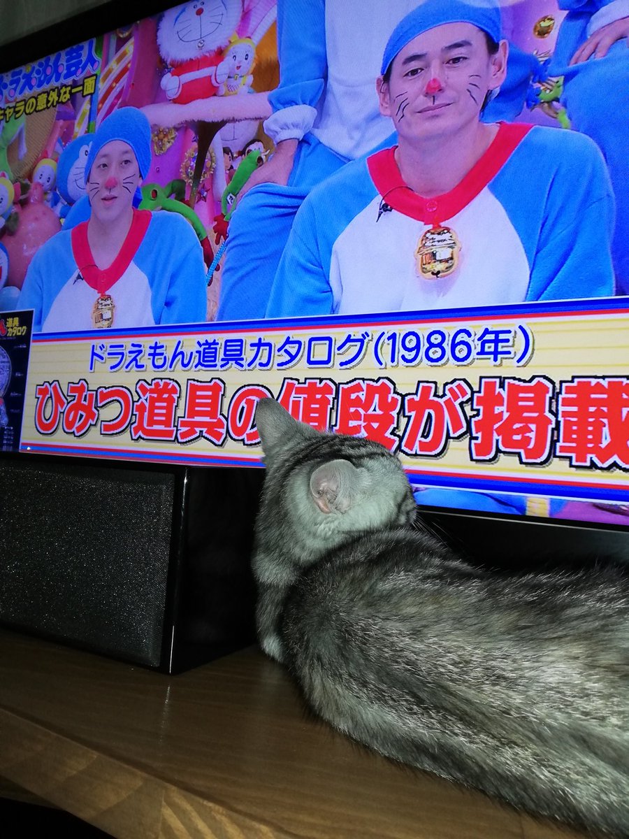 アメトーーク で ドラえもん芸人 が話題に 8ページ目 トレンドアットtv