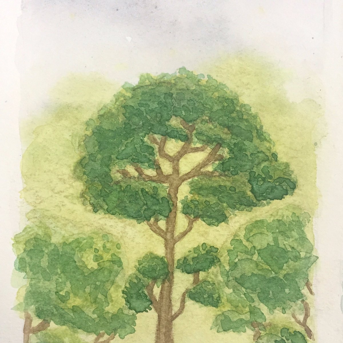Inconcinnus's tweet photo. I made this from a screenshot from @gorogoa which is a beautiful puzzle game. I’m often in the mood for games with no text or words in them to soothe my mind and Gorogoa is one of my favorites. https://t.co/CEd4t6pPzz