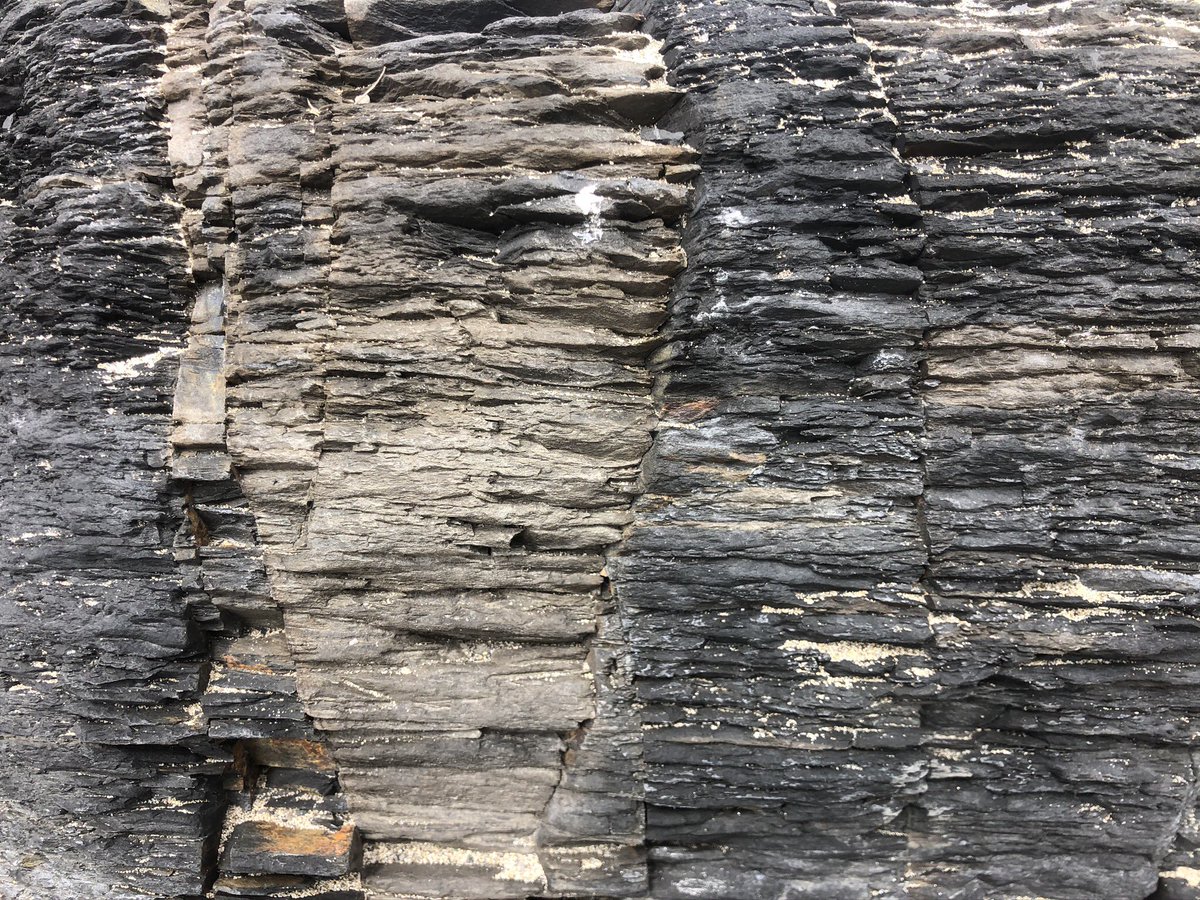 claudiohfox's tweet photo. @BritGeoSurvey I’ve just had a week on the #Pembrokeshire Coast. Stunningly beautiful & #geologically fascinating.
St.David’s to Fishguard.
Volcanic formations that moved to #Wales under continental drift. So much to see & try to understand. Unusual #geology I think. https://t.co/SrF2HXyI2h