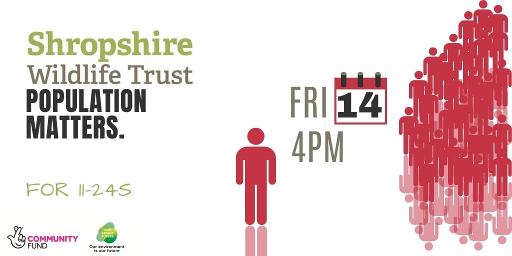 GrowingConf's tweet image. Alistair Curry from- Population Matters will present current data on the effects of an increasing population. Then OVER TO YOU to ask any questions that you may have...
Click to register your place:
shropshire.wildlifetrustsevents.org/young-people-s…