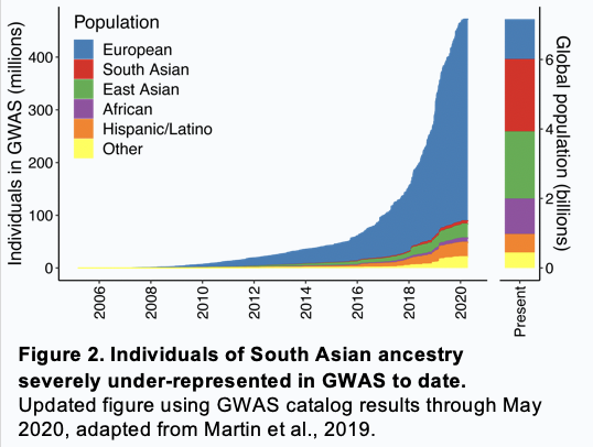 South Asians account for 23% of the global population — nearly 2 billion people — but only 1.8% of participants in genetic association studies to dateand almost no prior studies have studied a genetic risk predictor in a South Asian population