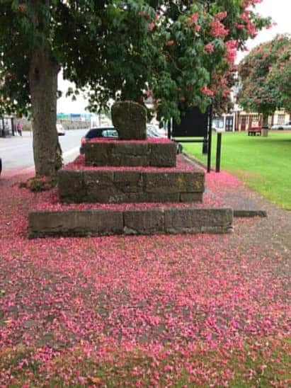 Freshford Tidy Towns tweet media