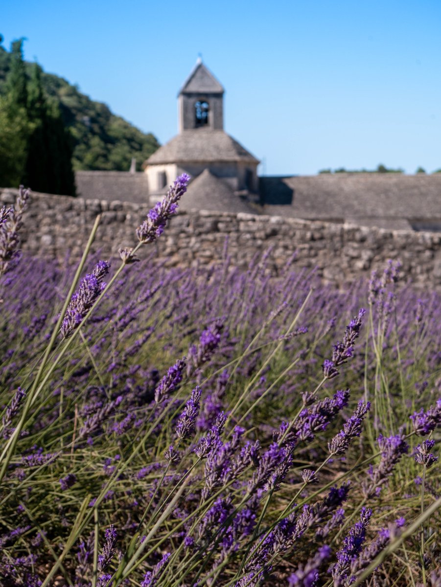 ThefrMissPanda's tweet photo. Tu préféres les lavandes ou l'abbaye ?
Vote pour ta photo préf dans les commentaires :
1. L'abbaye
2. Les lavandes
#abbayedesenanque #lavande #lavander #church #luberon #provence #violet #cetétéjevisitelafrance #france #voyage #luberon #provence #provencefrance https://t.co/B12wbjzK1k