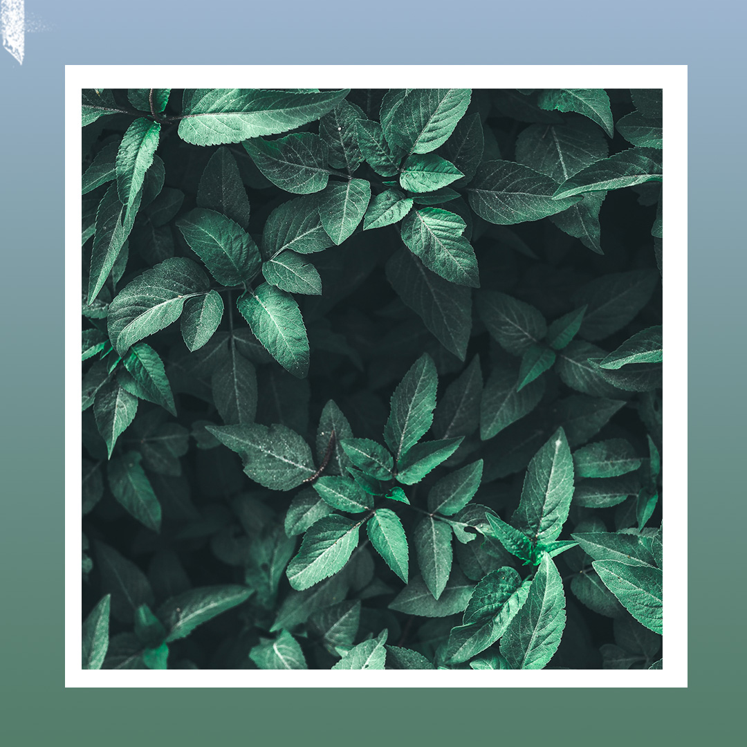 HCBetterDays's tweet image. I am the vine; you are the branches. If you remain in me and I in you, you will bear much fruit; apart from me you can do nothing. 
John 15:15
.
.
#church #churchcommunity #churches #churchfamily #counseling #counselor #faithandfamily #healing #health #jesus #leader