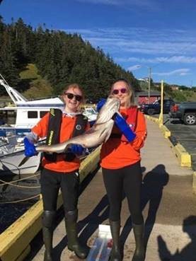 DFO_NL's tweet photo. 2/2 Help us out! Be a #CitizenCod scientist and complete our online form to tell us about your catch here: https://t.co/FTp2bb6fpS https://t.co/c9WZdi6l8F