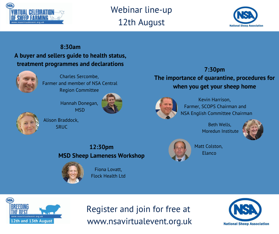 natsheep's tweet photo. Today’s the day!  
Head over to https://t.co/qZMkX0PCqm for our first webinar with MSD, @ProjectLAMBUK 'A buyer &amp; sellers’ guide to health status, treatment and declarations' starting at 8.30am! And check out our full webinar programme today 
#NSASheepVirtual #Farm24 #Sheep365 https://t.co/Ubxsm2Xioo