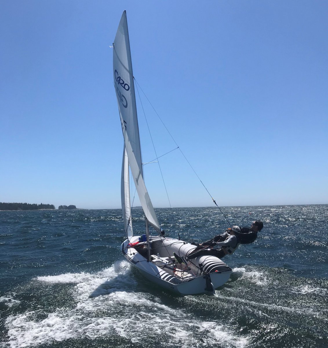 ZIM Sailing tweet media