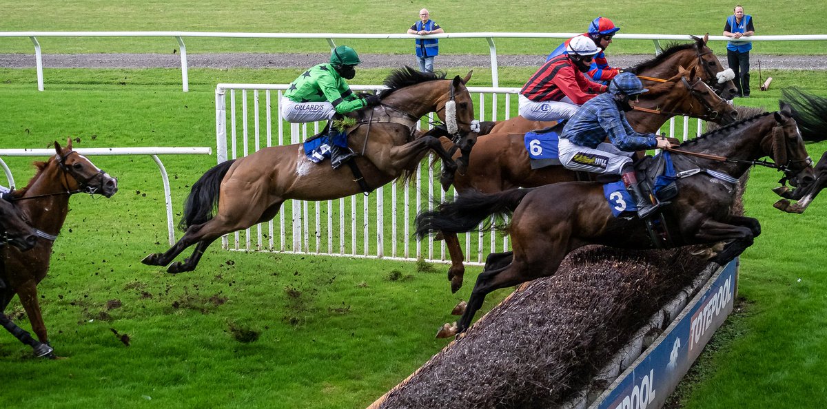 4 photos i took of Stratford races horses in action #HorseRacing #sportsphotography #Horses #photography #stratfordracecourse