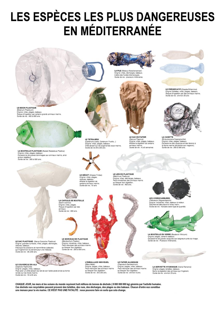 OceanoMonaco's tweet photo. Petit rappel sur les espèces les plus dangereuses et invasives de nos mers et océans #VivonsLocean https://t.co/ngNrelfeaO