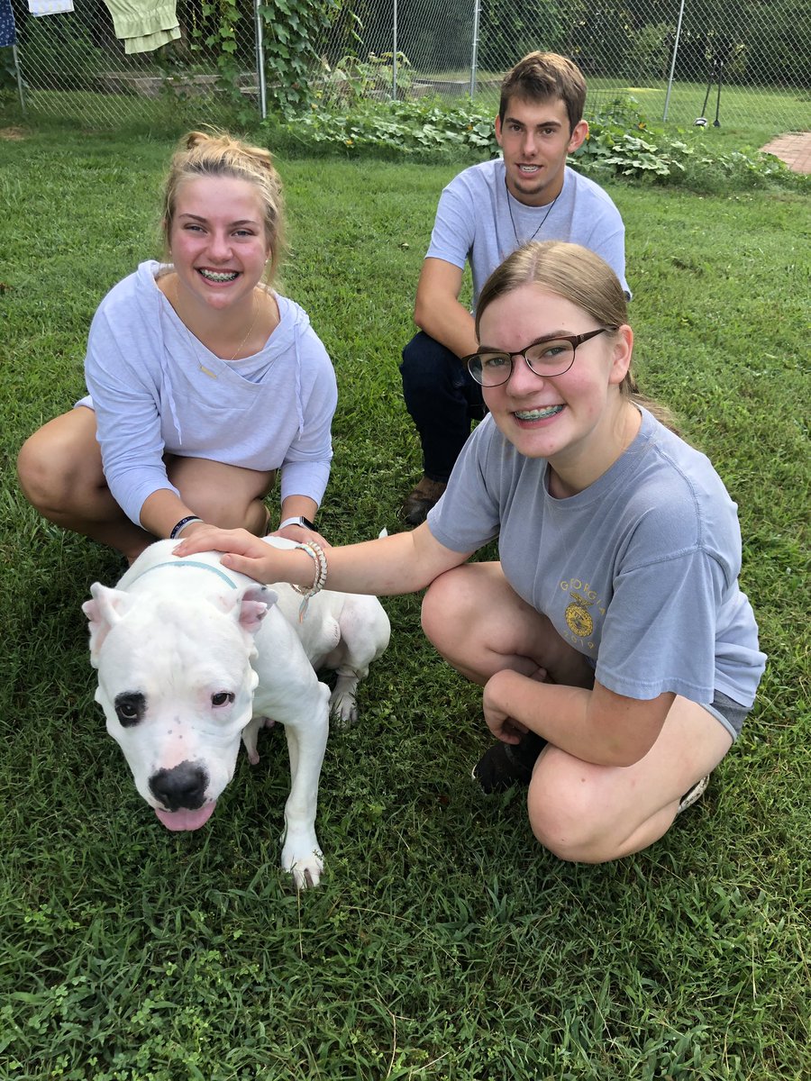 grove_ffa's tweet photo. Here’s a whole bunch of our FFA officers! Nolan Morris the Ambassador, Riley Smith the Secretary, and Lydia Watts the activities director! In this picture is the dog Queen Bee who is a resident there. Keep up the good work guys! 🐶 see more @ughsffa on Instagram! https://t.co/OUtRuQjNdn