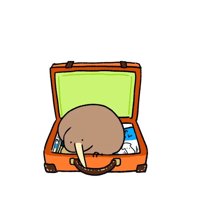 荷造りするキーウィ 