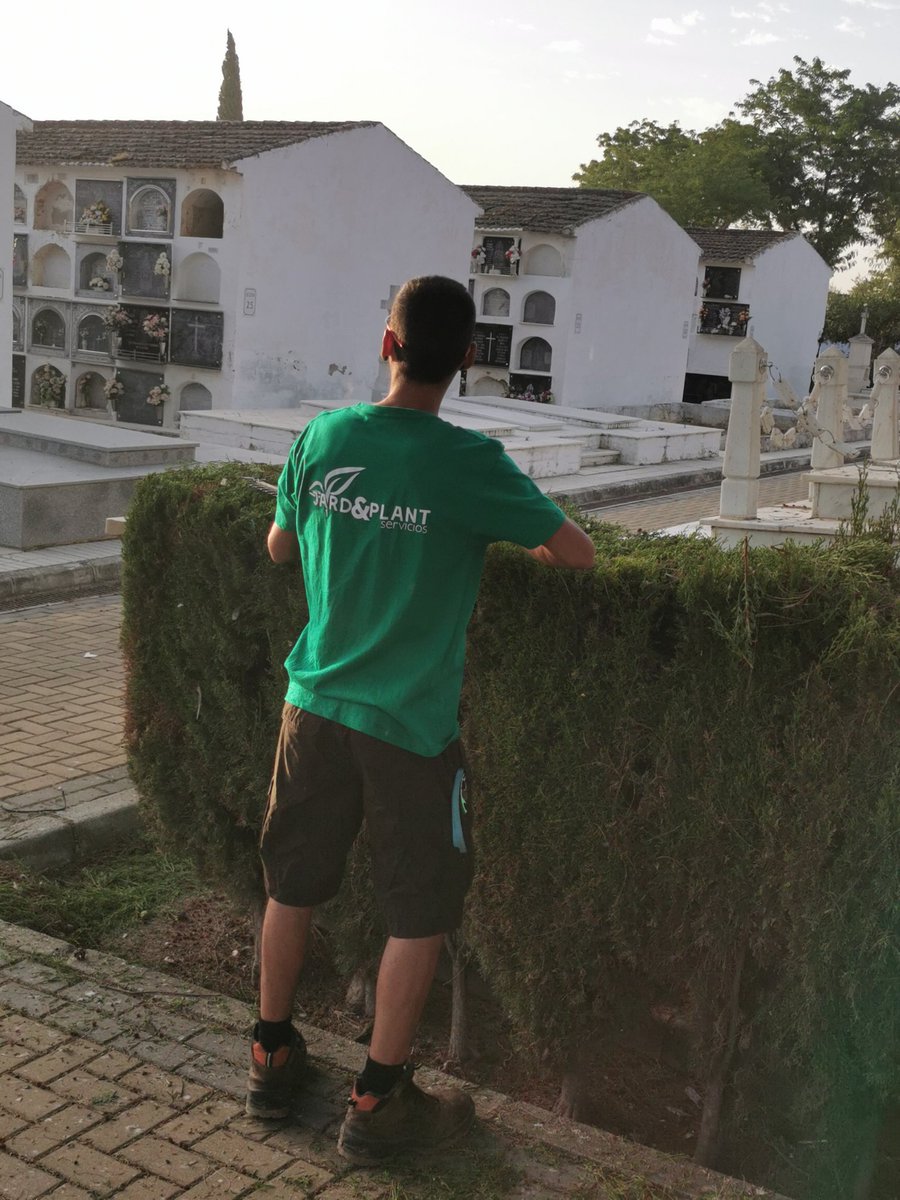 explotacionyser's tweet photo. Trabajos de mantenimiento en el Cementerio Municipal de Écija. https://t.co/Hxxegrft1x