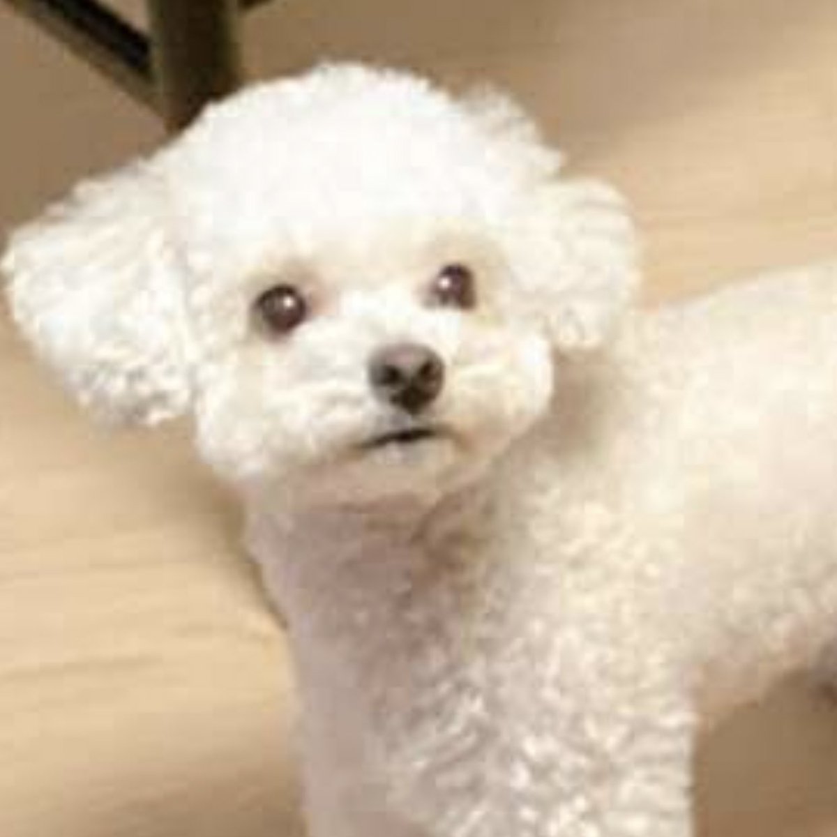 หน้านุ้งคือไม่ได้เลยพส 5555555555555555555555555