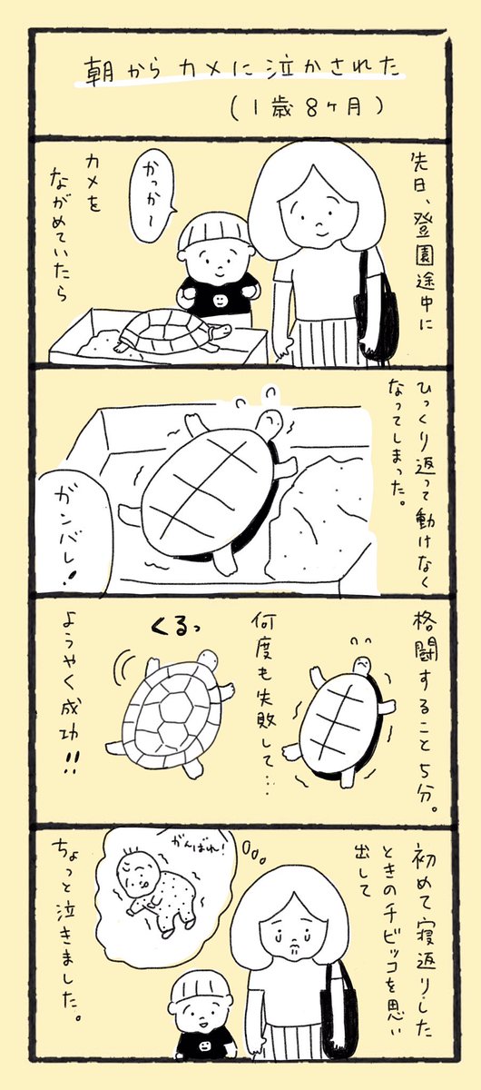 朝からカメに泣かされた(1歳8ヶ月)

#育児漫画 #育児絵日記 #育児日記 #4コマ 