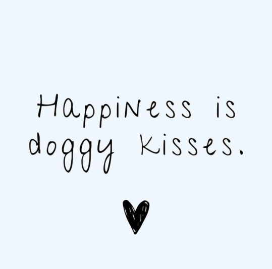 Friday feeling 🐾   #dogquotes #petart #petart #digitalart #dogmemes #quotes #blacklab #blacklabrador #dogoftheday #instadog #puppy #doglife #doglovers #pet #love #ilovemydog #puppylove #cute #of #pets #petstagram #dogphotography #doggo #fridayfeeling #doglove #lovedogs
