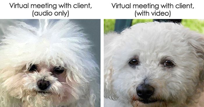 VirisHart's tweet image. 29 Clever (But Tasteful) Pandemic Real Estate Memes buff.ly/2SETpgO