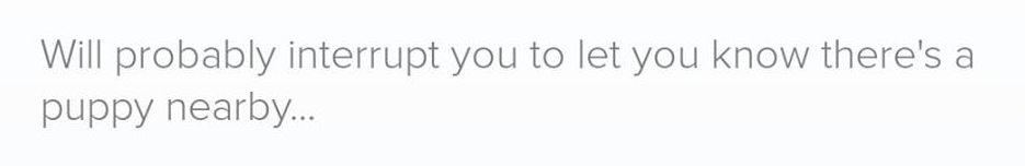 "Will probably interrupt you to let you know there's a puppy nearby..."