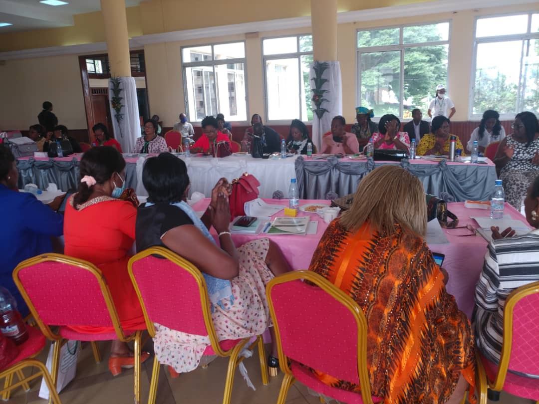 REFELA-Cam tweet media