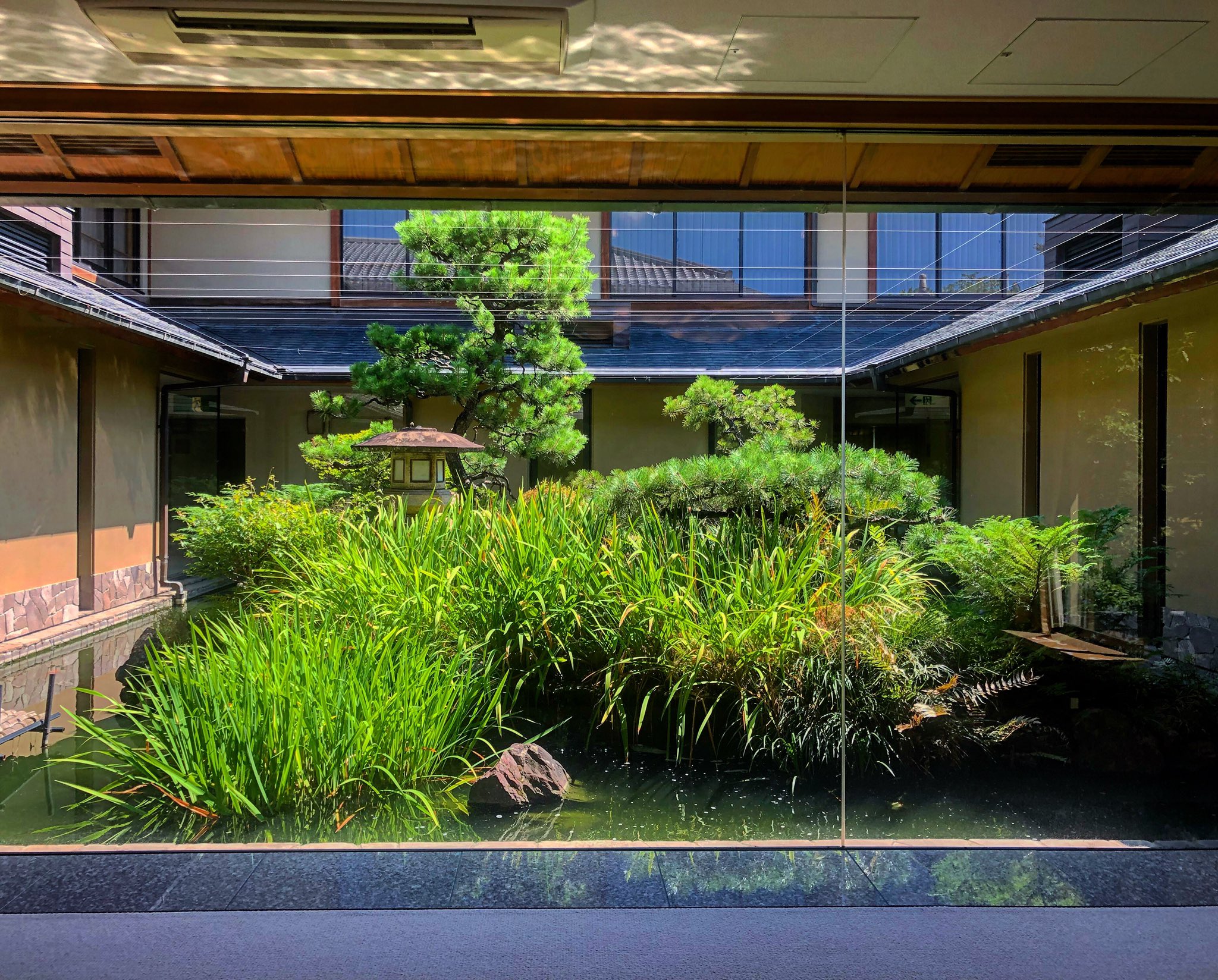 jardin-avec-piscine-verre-mur-revetement-sol-bois-arbres
