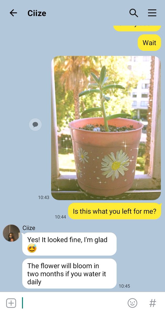 - 15 -Jan, this is Ciize + a gift from the girlfriend