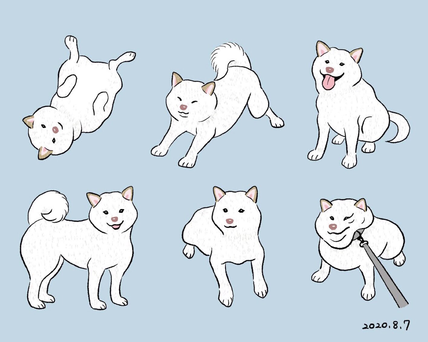 Chippoke 犬絵 44 いろんな白柴 44作目でまさかの白 4 柴 4 デジタル絵画 デジタルイラスト イラスト 犬イラスト 犬の絵 犬 柴犬 白柴 しばいぬ しば Chippoke犬絵 T Co Wmeuuvku9h Twitter