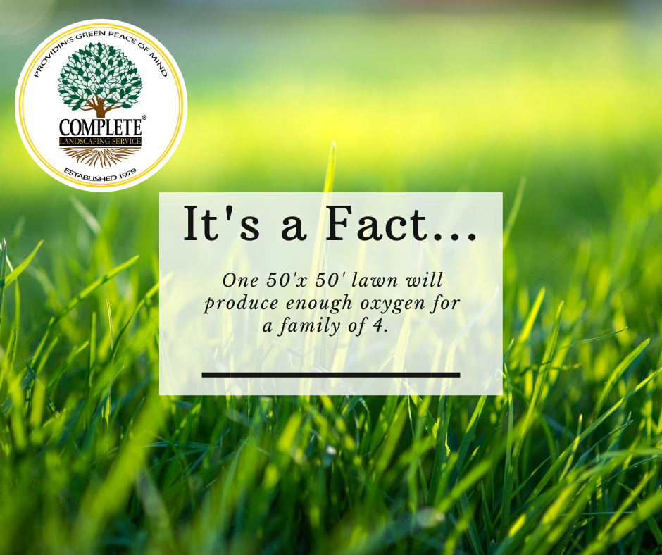 It's #funfactFriday! Bringing you interesting facts about nature and landscaping. #greenpeaceofmind