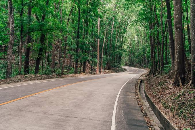 TourPromotionPh's tweet photo. Bilar Man-Made Forest, Bohol.
#PinasMuna #travel #wowph #choosephilippines #VisitPhilippines https://t.co/gUM3WR0K3P