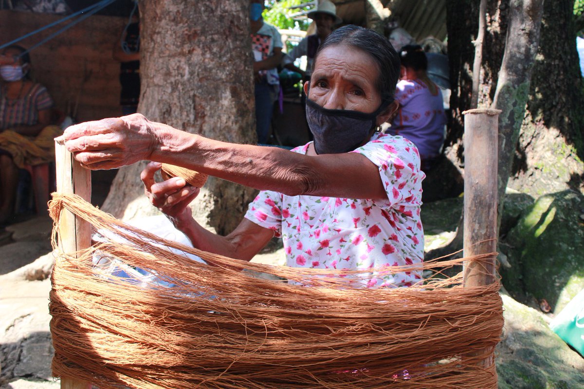Crisara_TV's tweet photo. Artesanas de San Juan Colorado en la costa oaxaqueña elaboran huipiles en #telardecintura, utilizando algodón #Coyuchi; así como, tintes naturales como la grana cochinilla y el añil.
Capacitadas por el @IOA_GobOax para vender sus productos en @amazonhandmade
@IvetteMurat https://t.co/SDryNrwtVR