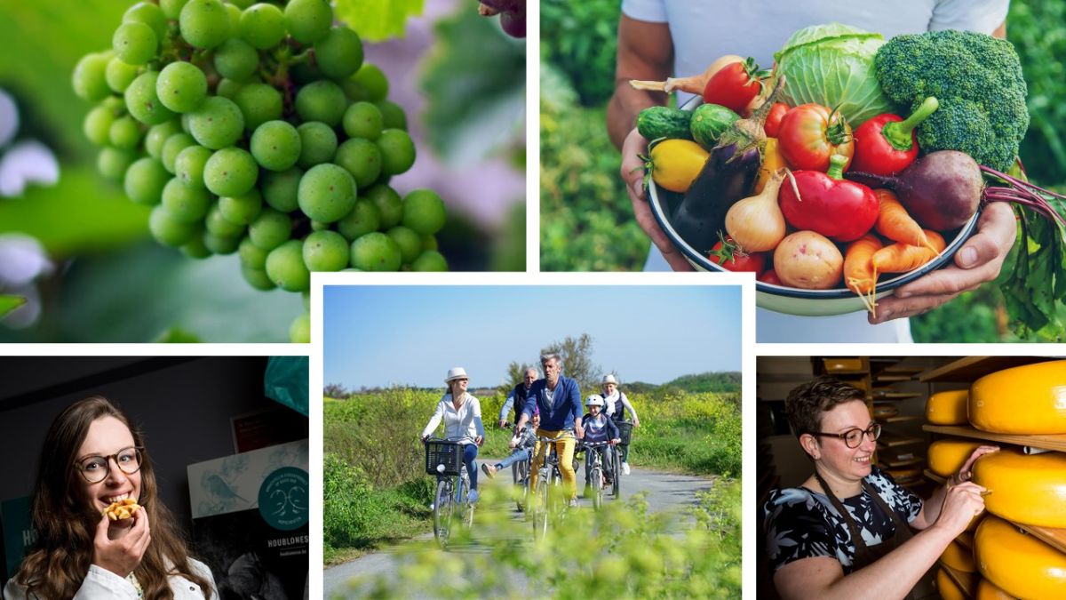 Watertanden in de Westhoek: ga op wijnreis, trap van hoppeveld naar brouwer, picknick op de hoeve... #zomervandekorteketen #ikzomerwestvlaams #lekkerlokaal - mailchi.mp/100procentwest…