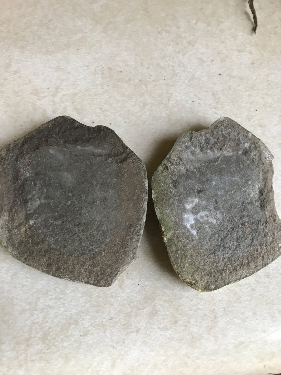 GRS_Science's tweet photo. #FossilFriday took a short spontaneous trip to #mazoncreek #lagerstatten ⚒
A bit overgrown this time of year, but still had fun & Sophie got a few fossils like this #jellyfish 😁
#daddydaughterday https://t.co/syCIeEpBnU